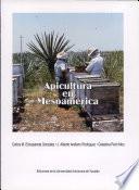 Apicultura en Mesoamérica