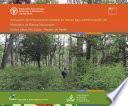Aplicación de ordenamiento forestal en tierras bajo administración del Ministerio de Bienes Nacionales