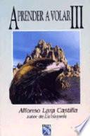 Aprender A Volar III = Learning to Fly