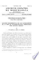 Archivo español de morfología
