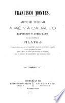 Arte de torear à pié y à caballe