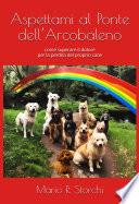 Aspettami al Ponte dell’Arcobaleno