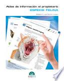 Atlas de información al propietario. Especie felina