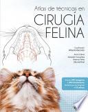 Atlas de técnicas en cirugía felina