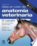 Atlas en color de anatomía veterinaria