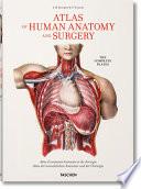 Atlas of human anatomy and surgery. Ediz. multilingue