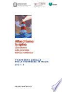 Attacchiamo la spina. Libro bianco sulla sicurezza elettrica domestica. VII Rapporto Annuale sulla sicurezza in Italia 2011