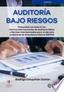 Auditoría bajo riesgos