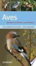 Aves