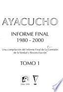 Ayacucho: Los períodos de la violencia. Rostros y perfiles de la violencia. La región del sur central