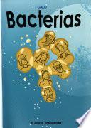 Bacterias