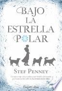 Bajo la Estrella Polar