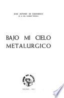 Bajo mi cielo metalúrgico