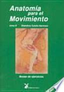 Bases de ejercicios
