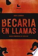 Becaria en llamas busca comunidad de cerillas