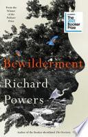 Bewilderment
