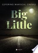 Big Little
