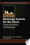 Bioenergy Systems for the Future