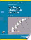 Biología molecular del gen