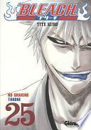 Bleach 25