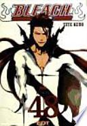 Bleach 48
