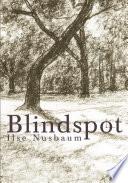 Blindspot