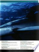 Blueplanet Quarterly