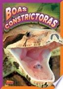 Boa Constrictors