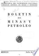 Boletín de minas y petróleo