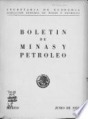 Boletín de minas y petróleo
