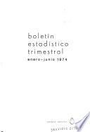Boletín estadístico trimestral