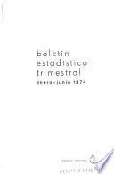 Boletin estadistico trimestral