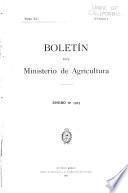 Boletín