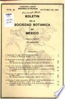 Boletín