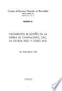 Boletín