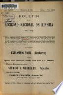 Boletín minera