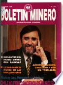 Boletín minero