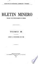 Boletin minero