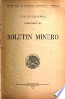 Boletin minero