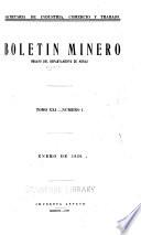 Boletin minero