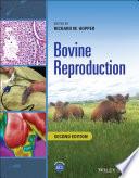 Bovine Reproduction