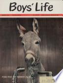 Boys' Life