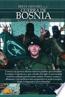 Breve Historia de la Guerra de Bosnia