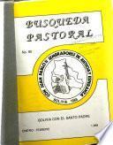 Búsqueda pastoral