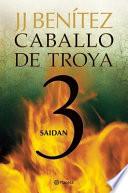 Caballo de Troya 3. Saidán (Ne)