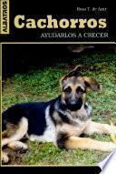 Cachorros (ayudarlos a Crecer)