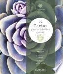 Cactus y otras plantas crasas