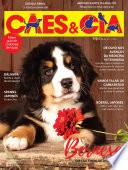 Cães e cia Ed. 475 - Bernese