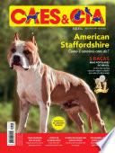 Cães e Cia Ed. 487 - Edição de Aniversário 41 Anos