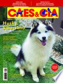 Cães e Cia Ed. 494